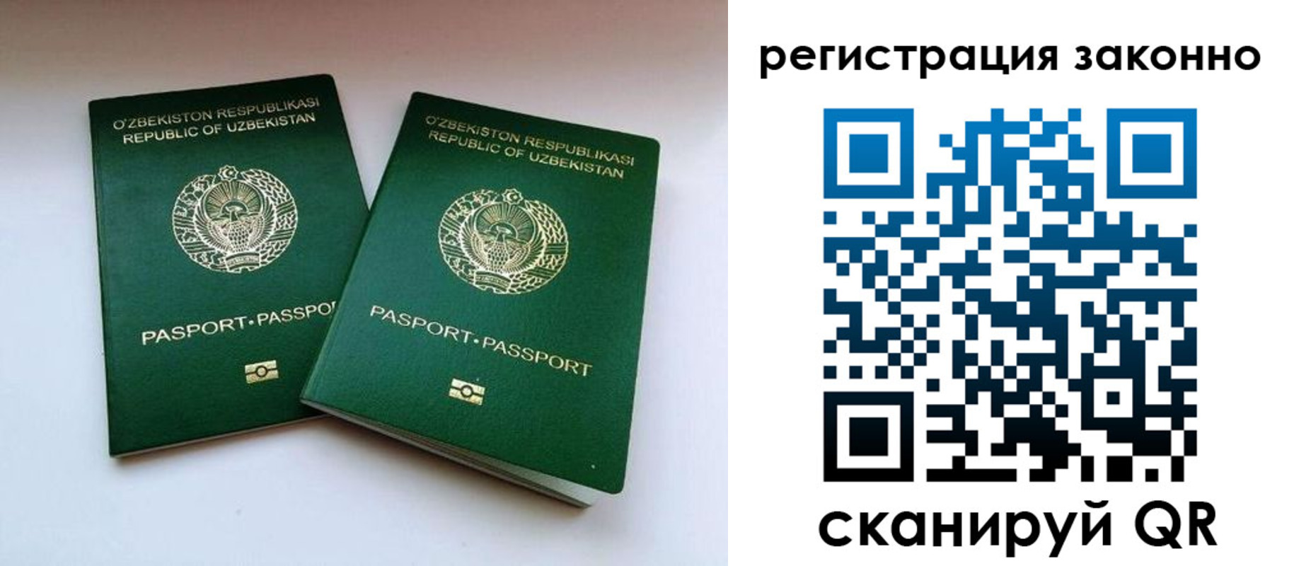 прописка гарантия в Красном Сулине